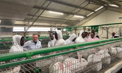 Il primo ministro del Burundi visita un allevamento di conigli della Bergamasca