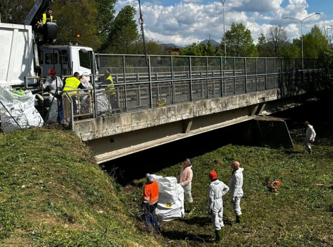 Dopo le segnalazioni, è stato pulito dai rifiuti l’alveo della Morla a Campagnola