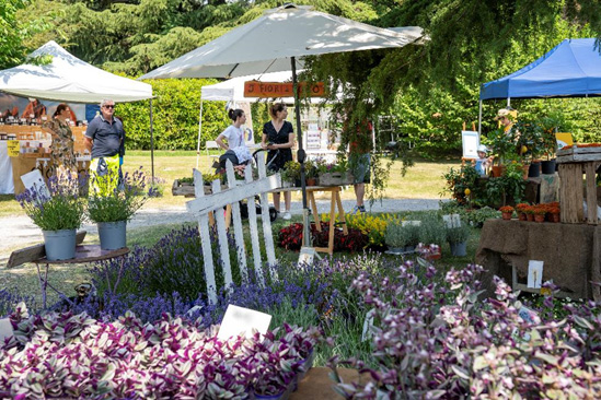 Torna Floreka, la mostra mercato dedicata a fiori e piante: quest’anno il tema è l’acqua
