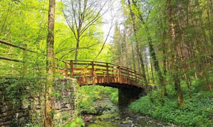 Giornata in Val Brunone, tra storia e natura: quest'anno c'è anche il parco avventura