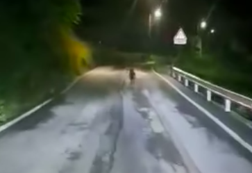 Un video, una fototrappola e delle predazioni: il lupo è a Bordogna, frazione di Roncobello