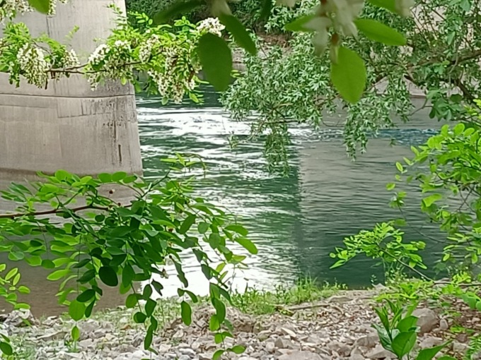 Non riemerge dopo il tuffo nell’Adda: rianimato dai soccorsi