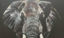 Elefanti e altri animali selvaggi nell'arte di Giusy Rampini, in mostra alla Galleria Ceribelli