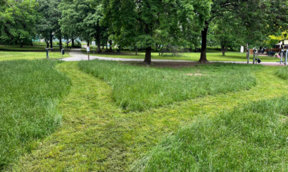 Erba alta? No, sono prati a sfalcio ridotto: tredici in tutta la città