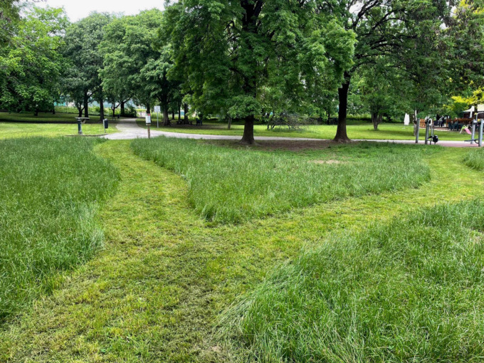 Erba alta? No, sono prati a sfalcio ridotto: tredici in tutta la città