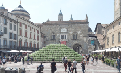 Una piramide di piante in piazza Vecchia per "I Maestri del Paesaggio" edizione 2023