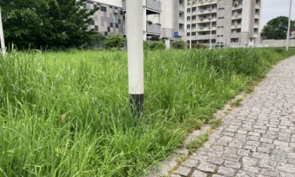 Quartiere Magrini invaso da erba alta, sporcizia e degrado, il Comune: «Stiamo monitorando»