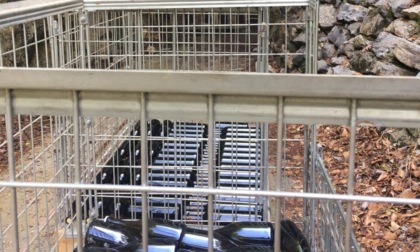 Duecento bottiglie di vino in miniera per farle fermentare: la nuova sperimentazione a Dossena