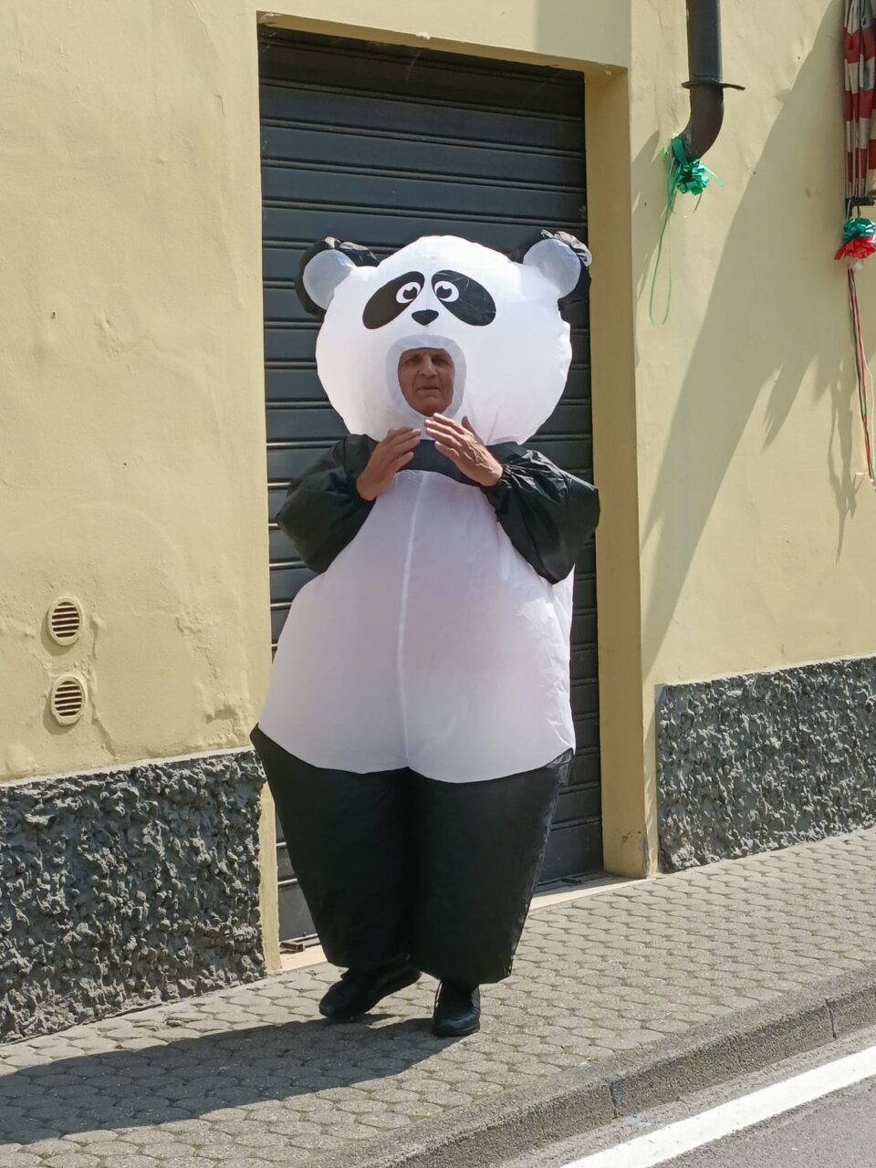 Pandino8