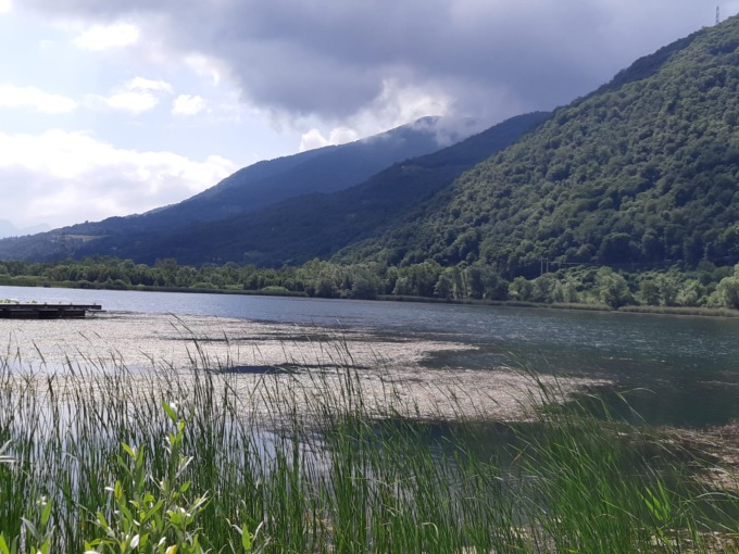 Le alghe infestano il lago di Endine, i Comuni scrivono alla Provincia per avviare interventi
