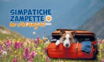 Simpatiche Zampette in vacanza: tanti consigli per un'estate davvero pet friendly!