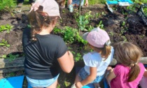 "Festa del Solstizio d'Estate" negli Orti botanici. Gli appuntamenti a Bergamo (e non solo)