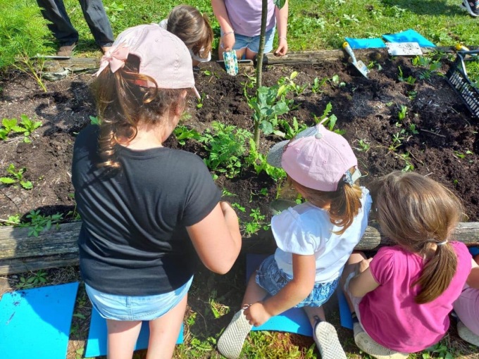 “Festa del Solstizio d’Estate” negli Orti botanici. Gli appuntamenti a Bergamo (e non solo)