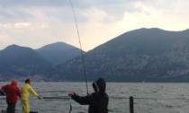 Riapre la pesca alla sardina sul lago d'Iseo, una vera passione locale