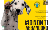 I veterinari bergamaschi lanciano la campagna #ionontiabbandono
