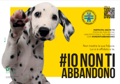 I veterinari bergamaschi lanciano la campagna #ionontiabbandono