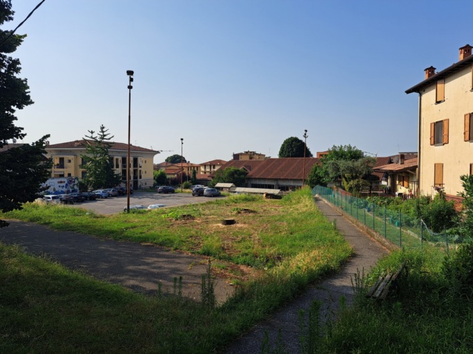 Chiuduno, tre alberi abbattuti per far spazio a un progetto (apparentemente) non approvato