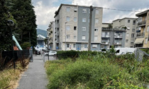 Il parchetto tra le vie Ghirardelli e Baioni sembra «una giungla». L'Amministrazione: «proprietà inadempiente»