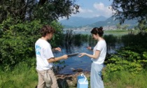 Analisi di campioni d'acqua del lago d'Iseo: situazione migliorata, anche a Costa Volpino