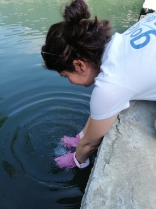 Il prelievo alla spiaggia di Costa Volpino