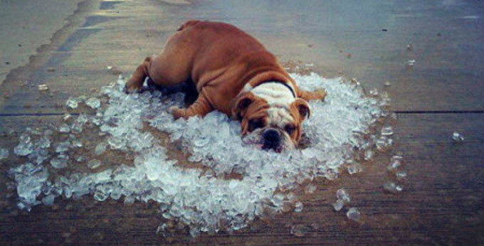 10 frasi in bergamasco sul coldù