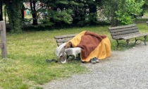 Bergamo, al parco del Galgario (e non solo) c'è un problema con i senzatetto
