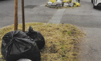 Le lamentele sul "mulching" nel quartiere di Colognola, dove l'erba è diventata gialla