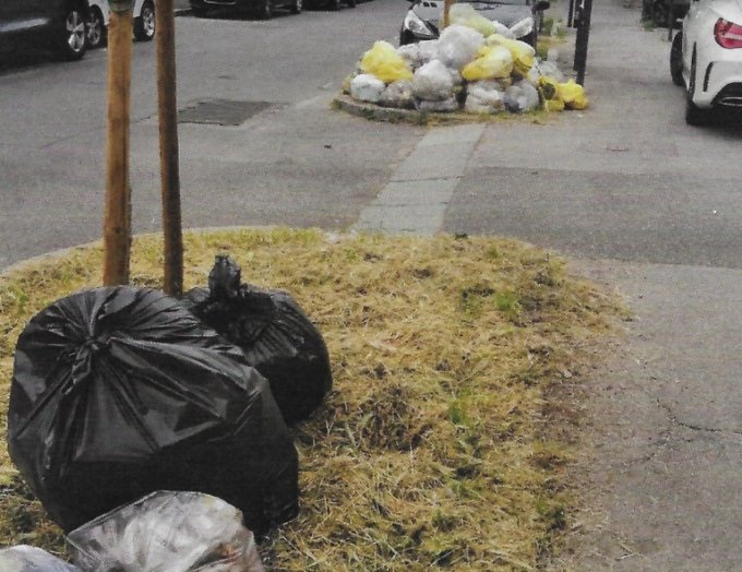 Le lamentele sul “mulching” nel quartiere di Colognola, dove l’erba è diventata gialla