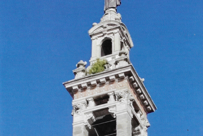 Quell’arbusto sul campanile dell’ex chiesa di San Sisto: dopo un anno, si temono danni