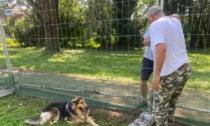Arzago: una nuova area cani dedicata a Dana, uccisa dai bocconi avvelenati