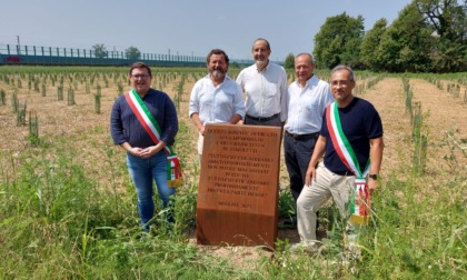 Nasce un "bosco urbano" tra Treviglio e Caravaggio: tutelerà la biodiversità e migliorerà l'ecosistema