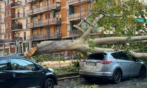 Maltempo in Lombardia, Fontana: «Chiederemo lo stato d'emergenza»