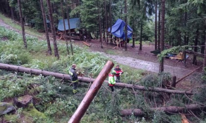 Cade un albero sul campo scout in Val Camonica: muore una 16enne