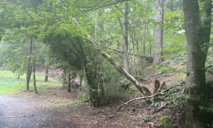 Ancora 20 giorni per la raccolta fondi del bosco delle Miniere a Dossena