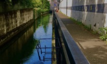 Alzano, ciclovia dei fiori... gettati in acqua. Ma chi sono gli autori del vile gesto?