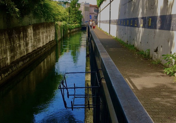 Alzano, ciclovia dei fiori… gettati in acqua. Ma chi sono gli autori del vile gesto?