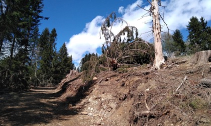 Strada Torcola, il Parco delle Orobie rimodula la sanzione al Comune di Moio de' Calvi