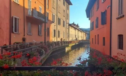 Vasi rubati dalla Ciclovia dei Fiori di Alzano, le accuse ai volontari su un volantino anonimo