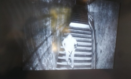 Defeca nel sottopasso, poi rompe tutte le luci: multato e denunciato a Trezzo
