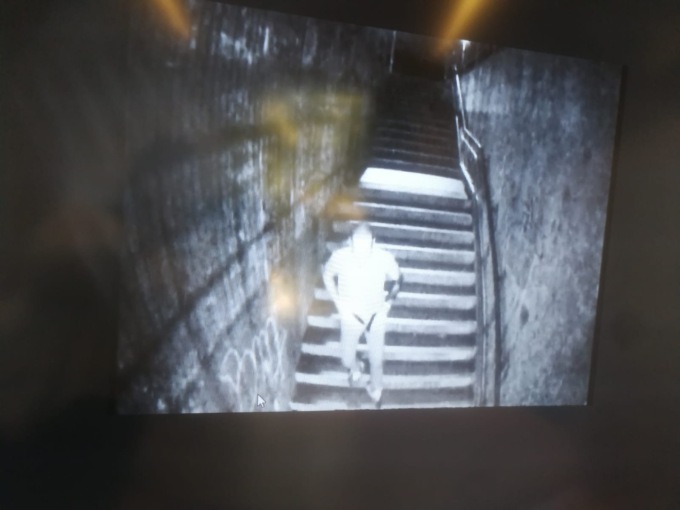 Defeca nel sottopasso, poi rompe tutte le luci: multato e denunciato a Trezzo