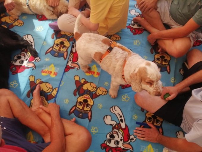 Alzano Lombardo, sei cagnolini in ospedale per portare benessere ai malati psichiatrici