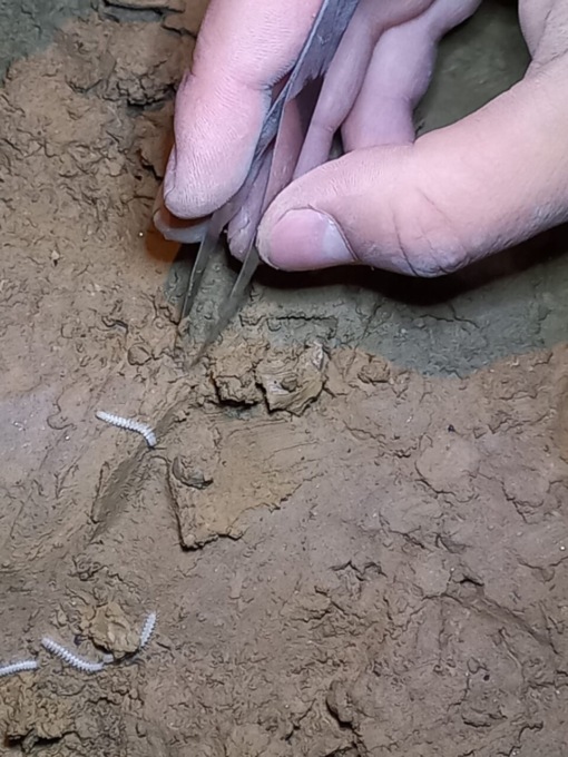 Gli speleologi di Progetto Sebino a caccia di animali nell’abisso del Bueno Fonteno