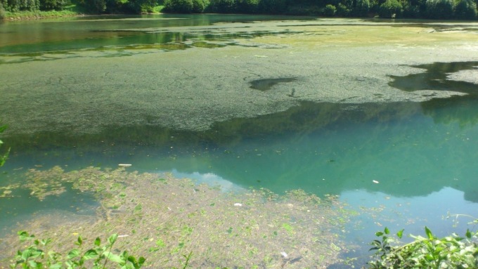 Corsi d’acqua “alleggeriti” da migliaia di metri cubi di materiale: da Moio de’ Calvi a Costa Volpino