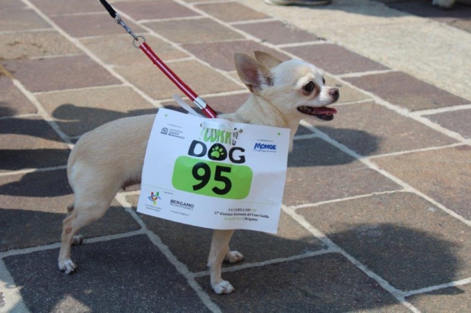 Torna la Corridog, corsa benefica a favore dell’Unione Italiana Ciechi e Ipovedenti