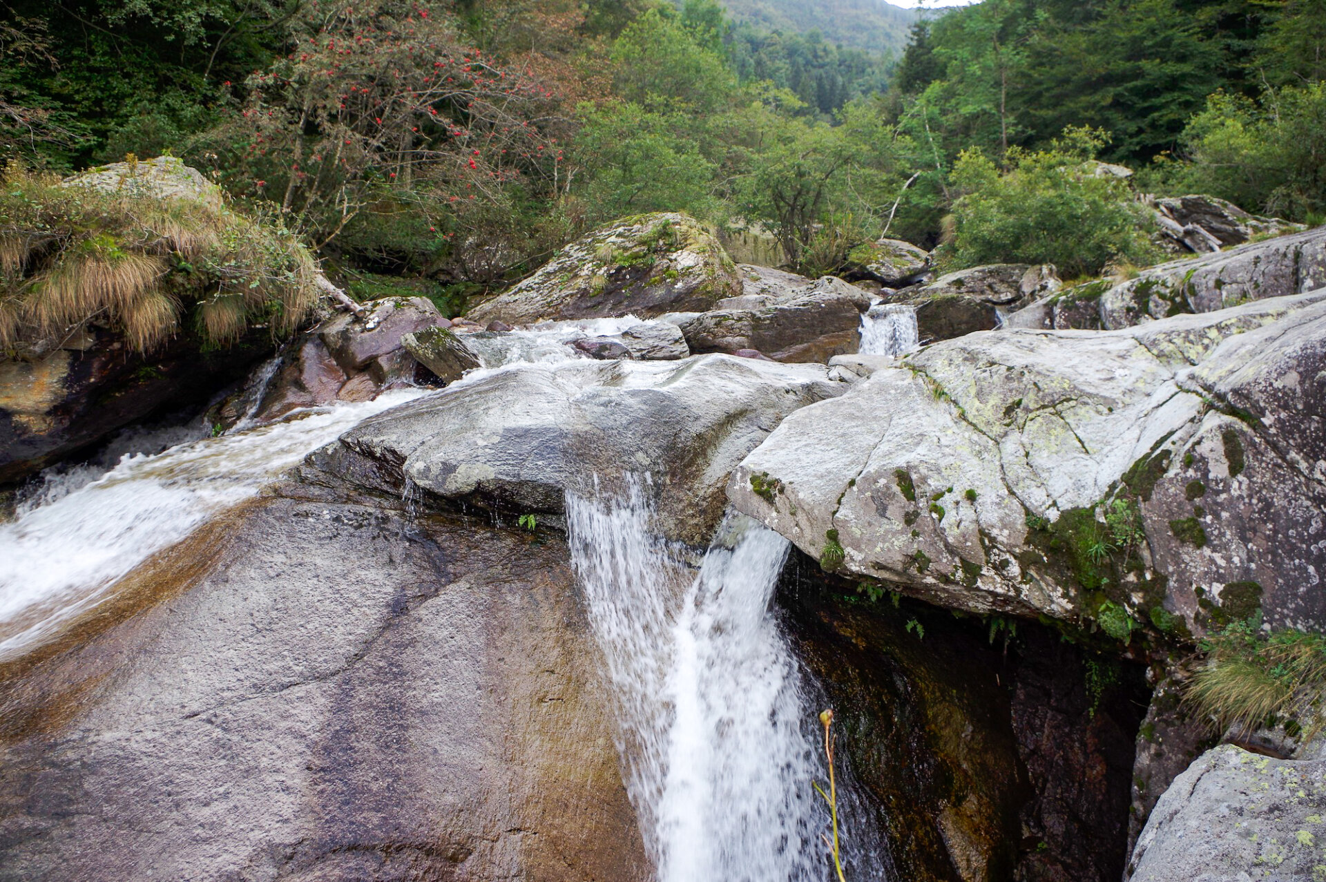 8 - Escursione in Val Sanguigno