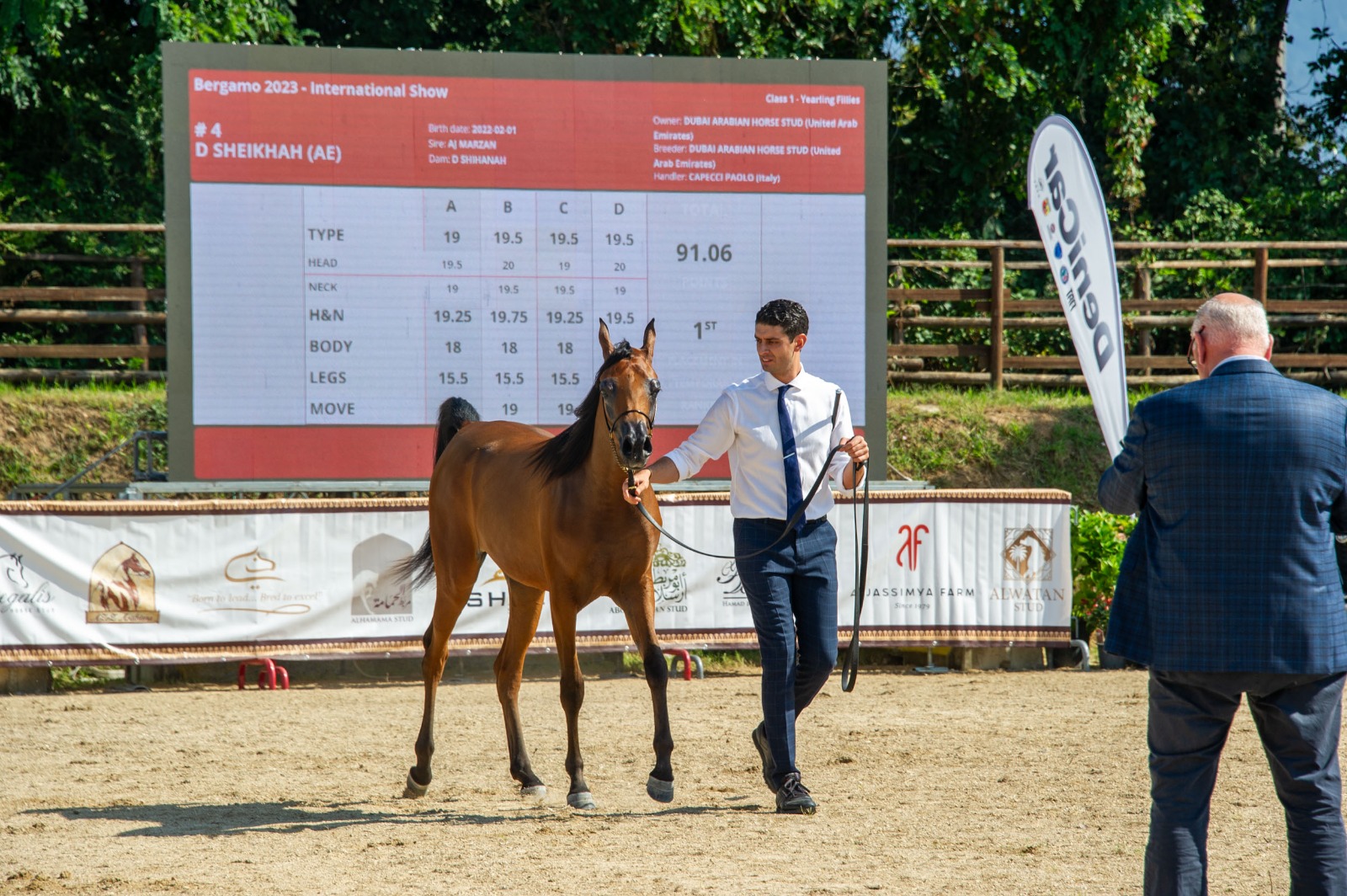 CONCORSO CAVALLI ARABI