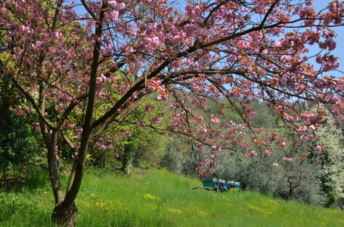 Albino, clamoroso altolà della Provincia alla variante al Pgt: la Valpredina non si tocca