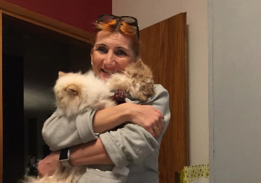 Sfugge a una truffa sugli animali: «Se non paghi subito, il barboncino soffrirà»