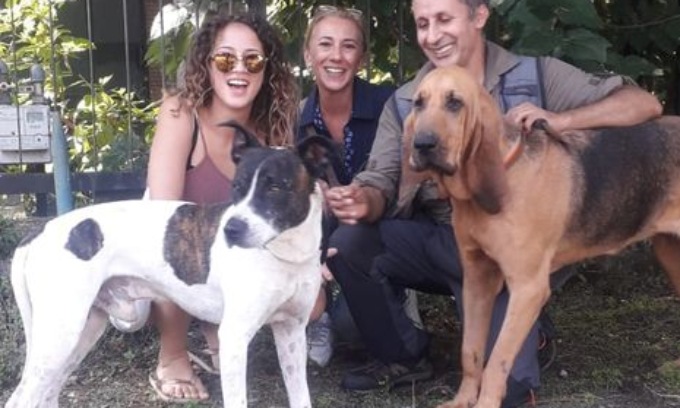 Cane in fuga dopo un testacoda in Tangenziale Est: alla fine Aldo è tornato ad Almenno