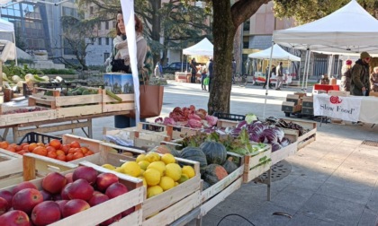 Sabato 9 settembre sul Sentierone torna il Mercato della Terra. Ecco i produttori